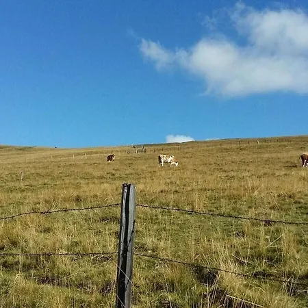 Fisherman's Hut Comfortable Falkert