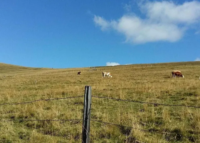 Fisherman's Hut Comfortable Falkert